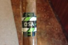 CAO OSA